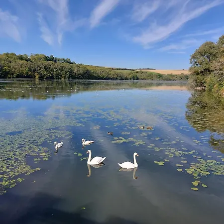 Maison Caroline Bairon B&B Le Chesne (Ardennes)